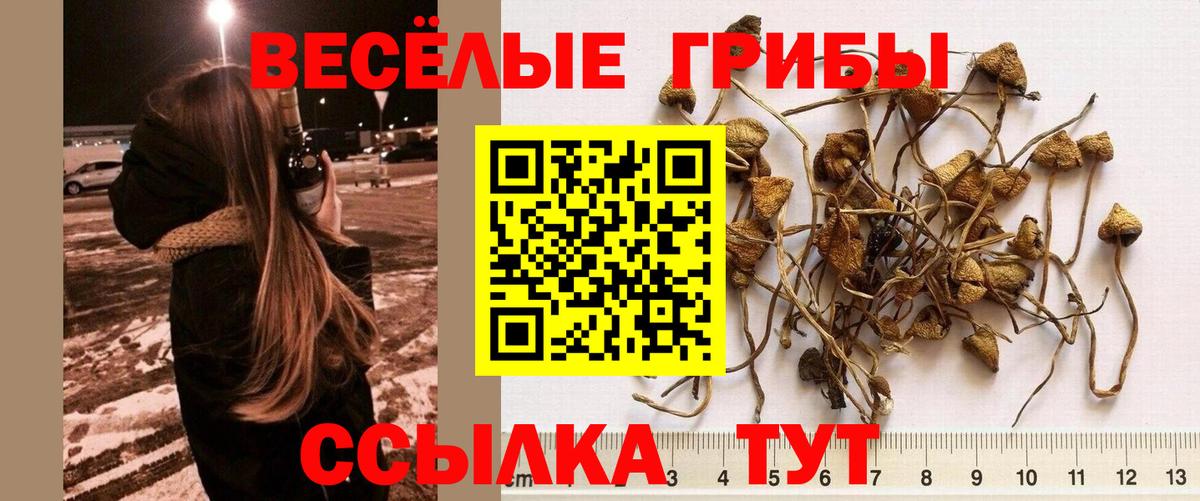 Коммунар  Псилоцибиновые грибы GOLDEN TEACHER  Вход с VPN 