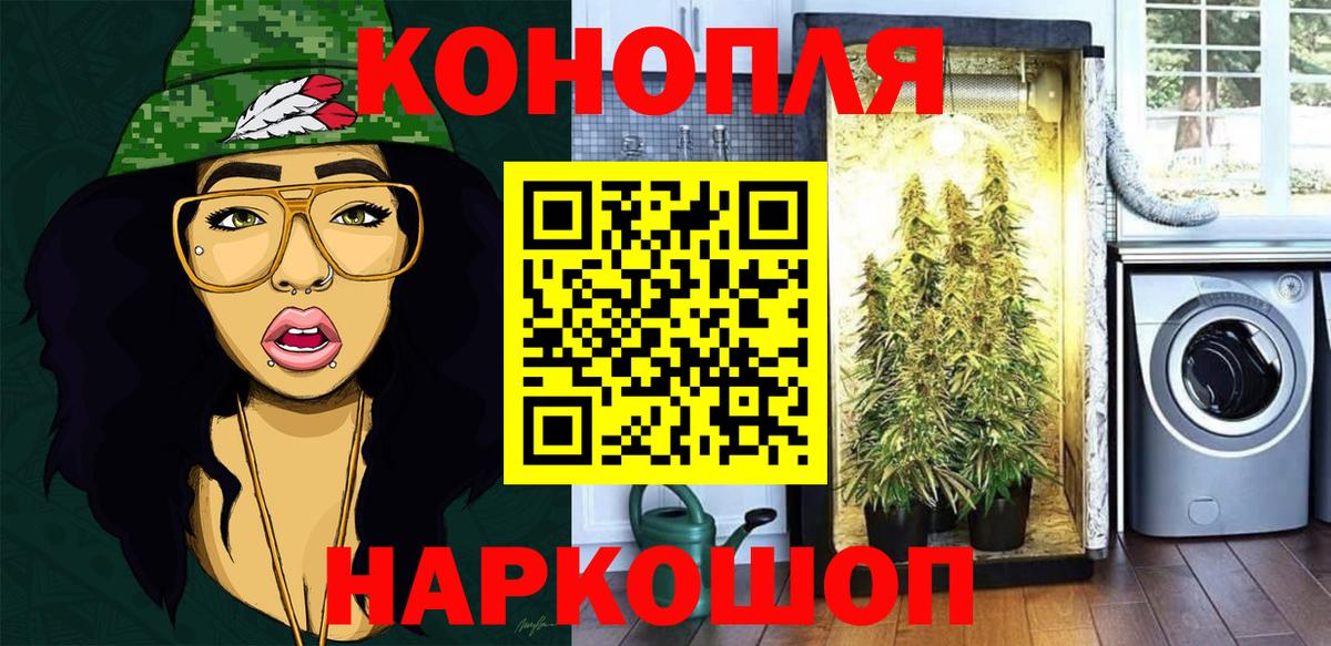 Бошки марихуана семена  Марихуана план  Бошки марихуана индика  Коммунар  Вход с VPN  Марихуана тримм 